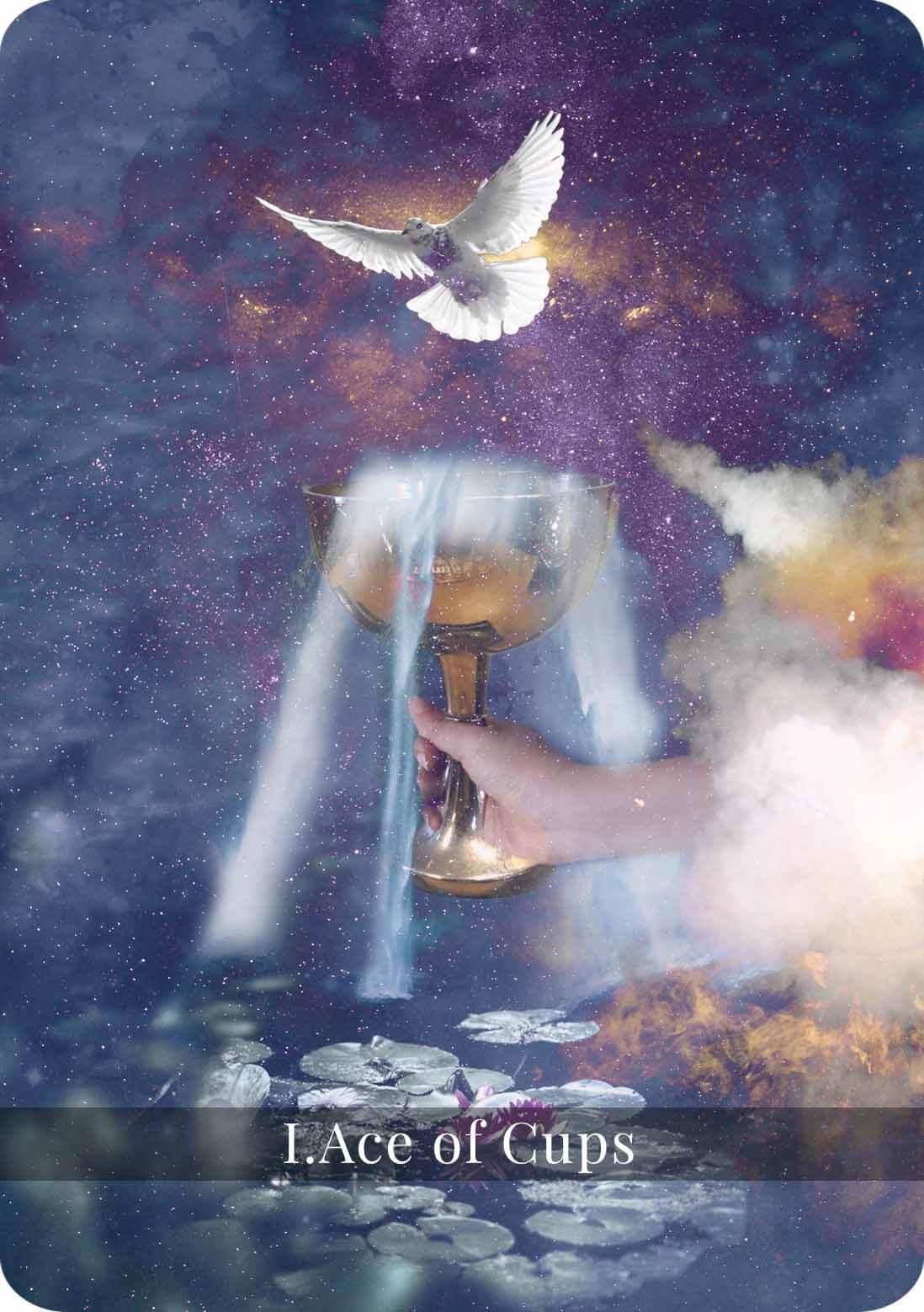 The Ace Of Cups Tarot Card Meaning Love, Career, Feelings & More